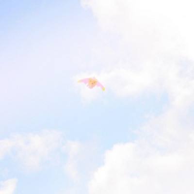 神魔世界内购破解版下载