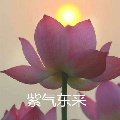 我的三国手游百度版下载